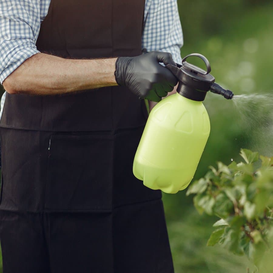 Apply the cleaning solution